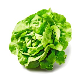 Österreichischer Häuptelsalat Kl. I 1 Stück