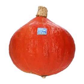 BIO vom BERG Bio Kürbis Hokkaido ca. 1 Stück